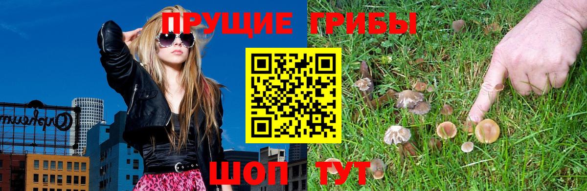 Рязань  Галлюциногенные грибы мухоморы  Вход с VPN  Галлюциногенные грибы Magic Shrooms 